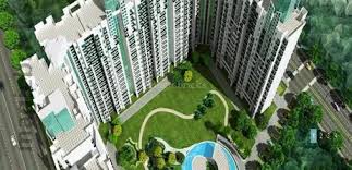 Property Amenities